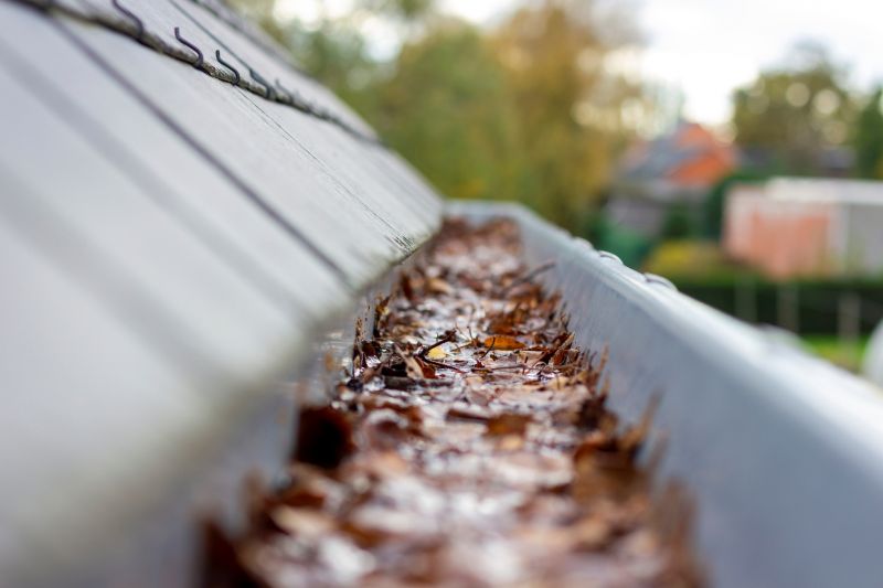 Before Gutter Cleaning