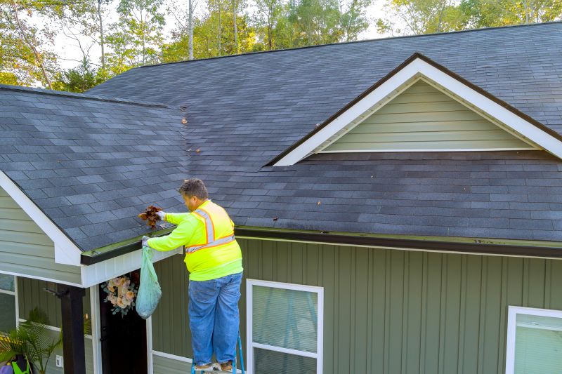 Handyman Services for Gutters